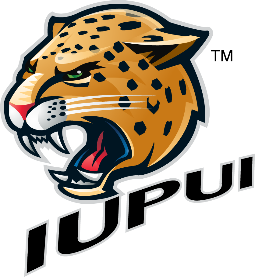 IUPUI Jaguars 2007-2017 Secondary Logo v3 diy iron on heat transfer
